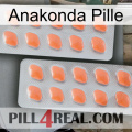 Anaconda Pill 27